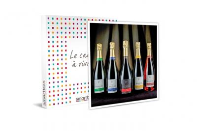 SMARTBOX D&eacute;gustation de champagne et visite de domaine dans la Marne - - Coffret Cadeau Gastronomie