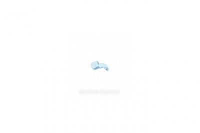 BEKO Charniere porte freezer droite pour refrigerateur  - 9052211