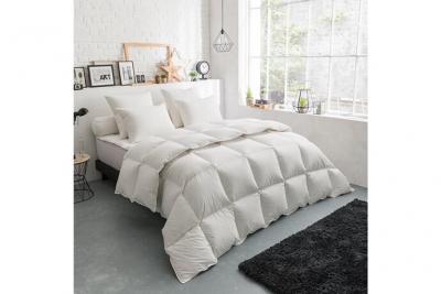 DODO  - Couette Thermoduv temperee - 70% Duvet d'Oie - 240/260 Blanc