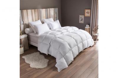 DODO Couette Tradition chaude - 70% Duvet d'Oie - 240/260  Blanc