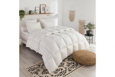 DODO Couette Tradition TEMPEREE - 50% Duvet de Canard - 220/240 - 