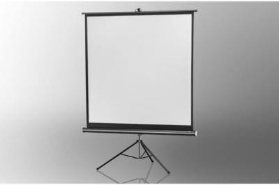 CELEXON Economy tripod screen - Ecran de projection avec tr&eacute;pied - 1:1