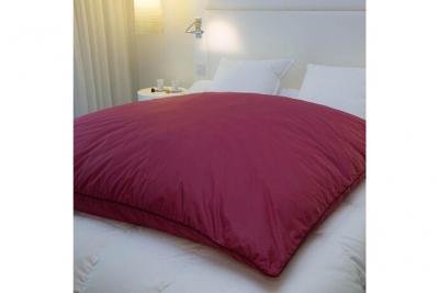 CASTEX COUETTES NATURELLES &Eacute;dredon gonflant 90x150 cm 90% duvet neuf jacquard grenat 