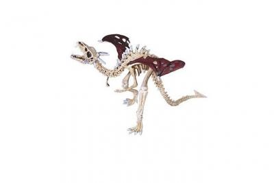 PLASTOY Figurine  : Le Dragon Squelette Rouge