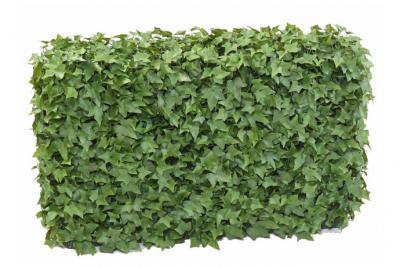 Haie artificielle haute gamme sp&eacute;cial ext&eacute;rieur / lierre artificiel vert - dim : 75 x 25 x 90 cm --