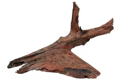 ZOLUX  Mangrove Racine pour Aquariophilie 25/40 cm 356030