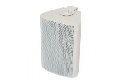 VISATON  WB 10 100 V / 8 OHM - Enceinte compacte &agrave; 2 voies Blanc