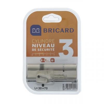 BRICARD  trials 17211 cylindre 30+70 mm double entree laiton nickele