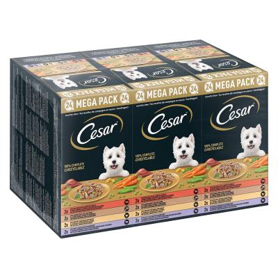 CESAR Lot  24 x 150 g pour chien - Les recettes de campagne