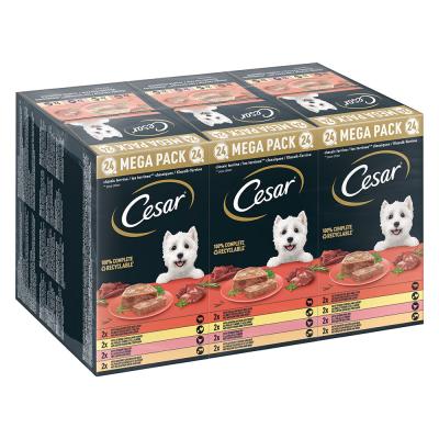 CESAR Lot  24 x 150 g pour chien - Les terrines classiques