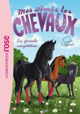 Mes amis les chevaux 02 - La grande comp&eacute;tition 