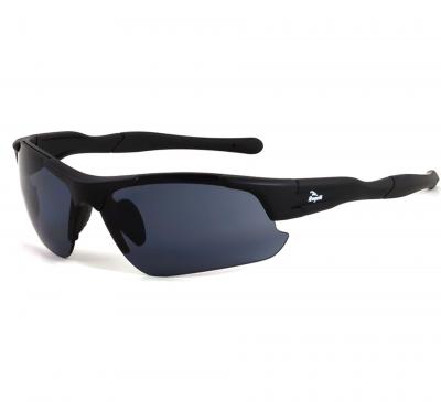 ROGELLI  Raptor Sunglasses Noir Smoke CAT 3