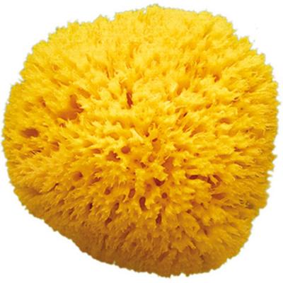 OK BABY OKBABY - Arcipelago - Eponge Naturelle de la Mediterran&eacute;e pour le Bain du Nouveau-n&eacute; - Taille 10