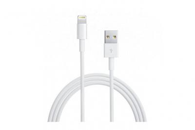 APPLE C&acirc;ble  Lightning vers USB(2,00 m) MD819ZM/A 