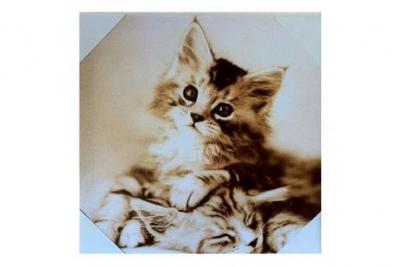 FUNNY PETS STC - Cadre en toile chaton - En Toile et bois - 28 x 28 cm
