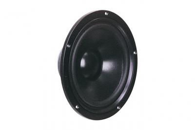 VISATON  VS-W200S/8 - Hauts-parleurs (1.0 canaux, 75 W, 33 &ndash; 6000 Hz, 8 Ohm, Noir)