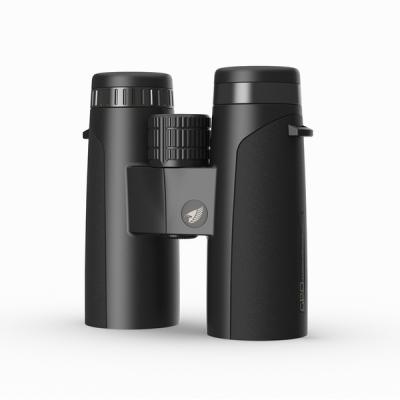  GPO German Precision Optics Jumelles B340 8 42 mm Anthracite, Noir 4260527410409