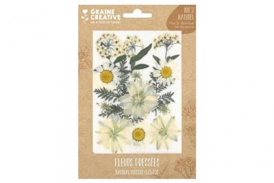 GRAINE CREATIVE Fleurs press&eacute;es - Prairie - Blanc - 15 pcs - Graine Cr&eacute;ative - couleur variant