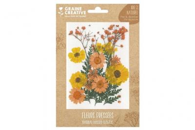  18 fleurs press&eacute;es - prairie jaune 