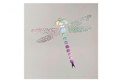 LE MONDE DES ANIMAUX Cadre en bois lumineux Dragonfly avec variations de couleurs