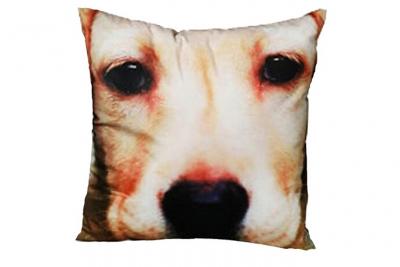 Coussins Out Of The Blue Coussin Carr&eacute; Chien D&eacute;houssable