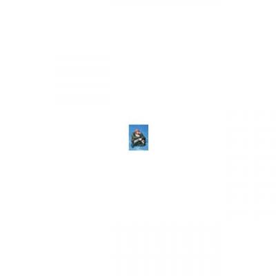  Bandai - Figurine One Piece - Nami Figuarts Zero 20Th Anniversary 7cm