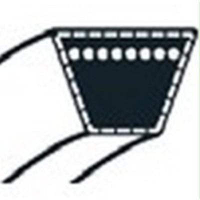 MTD Courroie  754-0499 pour Tondeuse