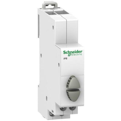 SCHNEIDER ELECTRIC Bouton-poussoir double - 1 NO gris + 1 NO gris - 20 A - 230 VCA - Acti9 - iPB