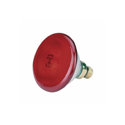 KERBL  France - ampoule infrarouge economique philips 175w - rouge