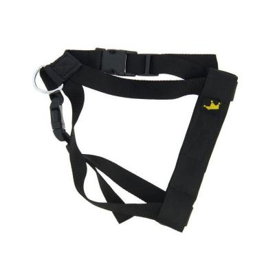  FIDELAMI 170020 Harnais de S&eacute;curit&eacute; R&eacute;glable pour Chien