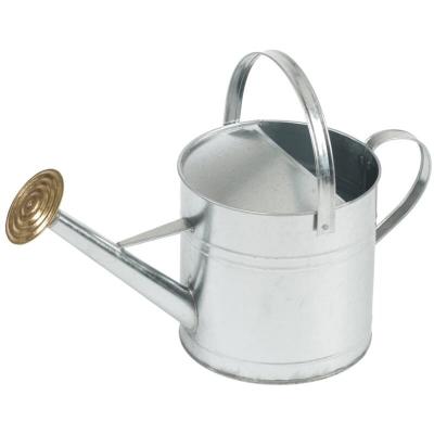 NATURE  Arrosoir design traditionnel en acier galvanis&eacute; - 9,0 ltr