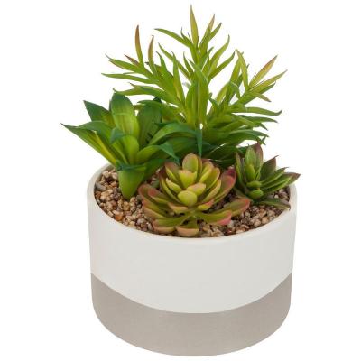 ATMOSPHERA  - Plante Artificielle Pot c&eacute;ramique Bicolore D14