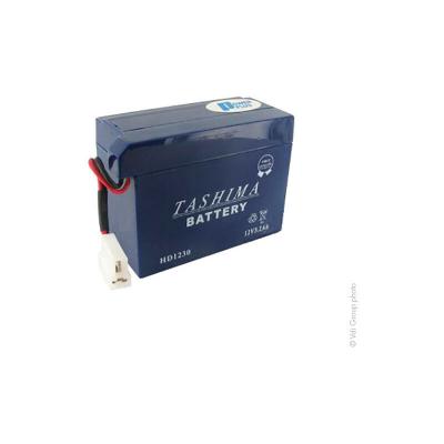 TASHIMA Batterie motoculture HD1230 12V 3Ah-