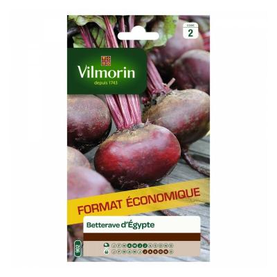 VILMORIN Betterave noire plate egypte  12 g