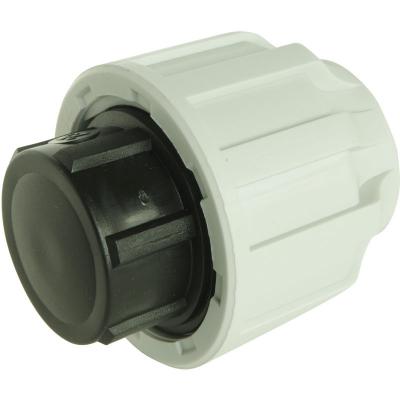 SOMATHERM FOR YOU Somatherm - Raccord plastique bouchon pour tube pe &Oslash;25 mm - brut