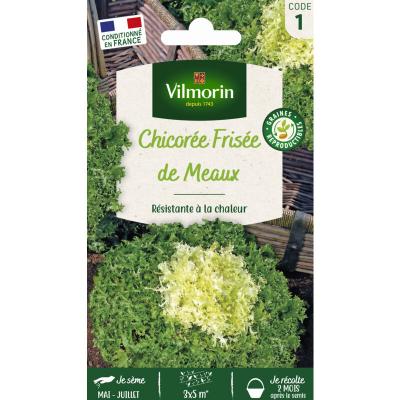 VILMORIN  - Sachet graines Chicor&eacute;e fris&eacute;e de Meaux