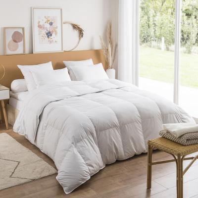 DUNLOPILLO Couette Jade Chaude - 40% duvet - 220/240  Blanc