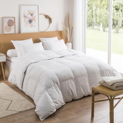 DUNLOPILLO Couette Jade Chaude - 40% duvet - 240/260  Blanc
