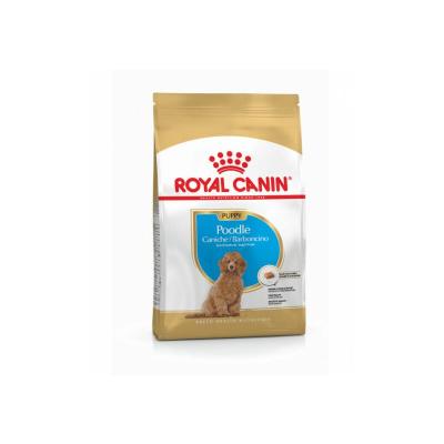 ROYAL CANIN BREED Croquettes chien BREED HEALTH NUTRITION CANICHE JUNIOR 3KG