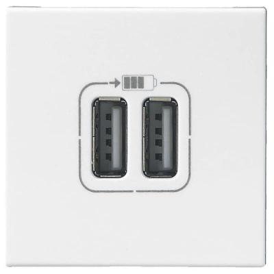 LEGRAND Double chargeur usb Type-A 3A 15W 2 modules complet Mosaic - Blanc
