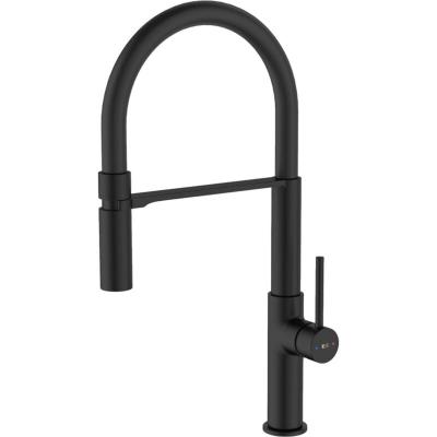 ESSEBAGNO  - Magneto mitigeur &eacute;vier &agrave; douchette noir mat - Noir