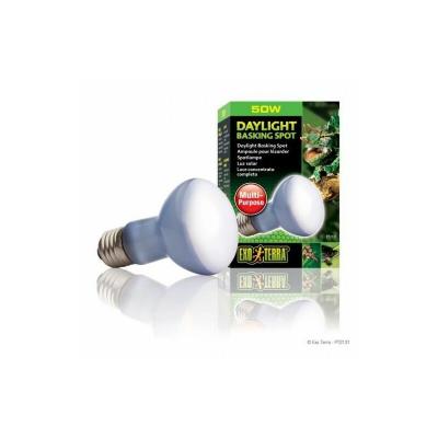 EXO TERRA Lampe pour terrarium  Daylight Basking Spot 50W