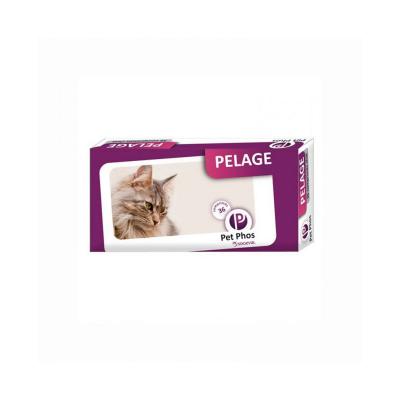 PET PHOS Pet-phos felin special compl&eacute;ments alimentaires pour pelage de chats