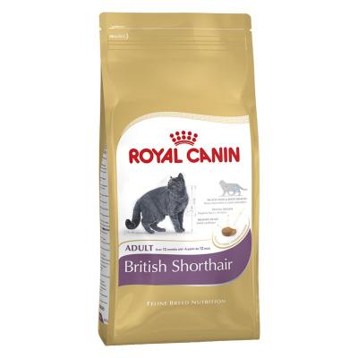 ROYAL CANIN Croquettes chat BRITISH SHORTHAIR ADULT CHAT A PARTIR DE 12 MOIS 400G