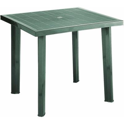 PROGARDEN TABLEAU DE R&Eacute;SINE PLASTIQUE EN VERT 80X75 cm. - TEC-3391 - 