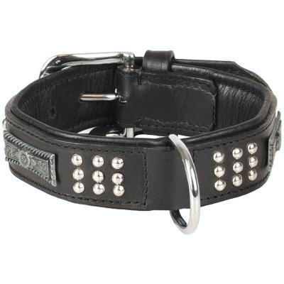 Collier Cuir SEDONA noir. taille S 26-31 cm. pour chien.