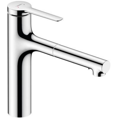 HANSGROHE De cuisine 160 avec douchette extractible 2 jets, sbox chrom&eacute;