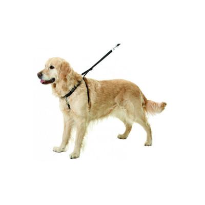 PetSafe Harnais Easy Walk / XL / 86 - 117 cm : Races G&eacute;antes