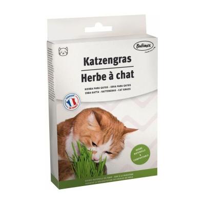 BUBIMEX Herbe &agrave; chat &agrave; brocher - 100g