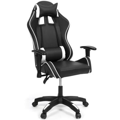 IDMARKET Fauteuil de gaming CARTER accoudoirs 2D pivotants, r&eacute;glable hauteur noir et blanc 